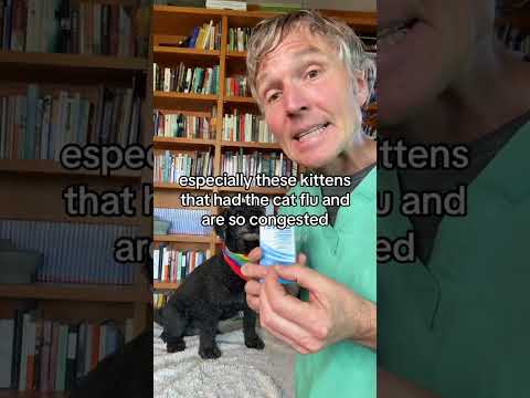 Awesome OTC remedy for congested pets