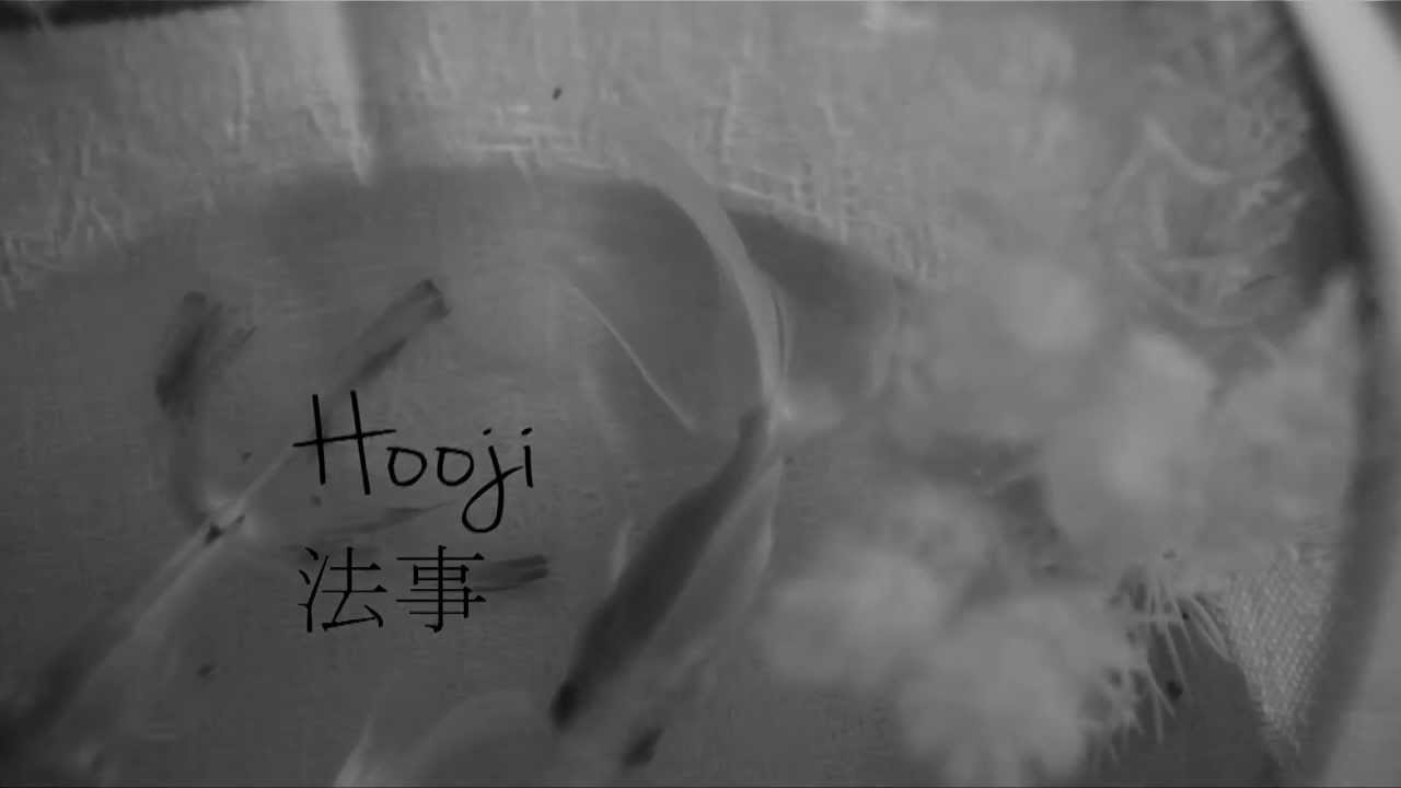Hooji - Teaser