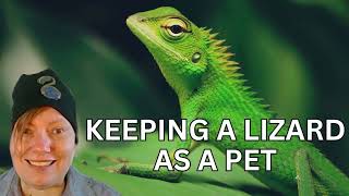 Keeping a Lizard as a Pet: Embrace the Enchanting World of Reptilian Companionship!