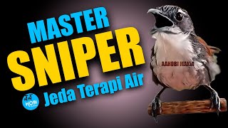 Download lagu MASTER SNIPER Jeda Terapi Air AMPUH mp3 Download lagu MASTER SNIPER Jeda Terapi Air AMPUH mp3