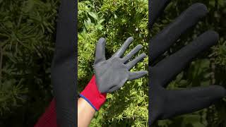 Vídeo