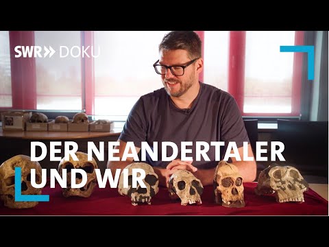 Der Neandertaler und wir - Feind oder Verwandter? | SWR Doku