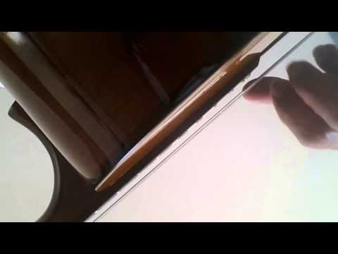 Glisney/voz e violao:Madana Mohana Murari