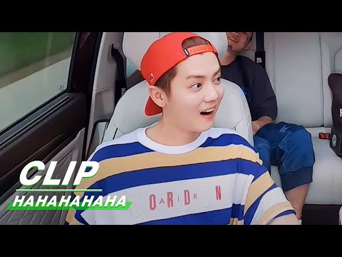Clip: Why Does Lu Han Get Angry? | HAHAHAHAHA EP04 | 哈哈哈哈哈 | iQIYI