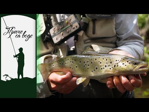 Priče sa vode ep. 102 14.09.2021. Kanjonima i rekama, III deo