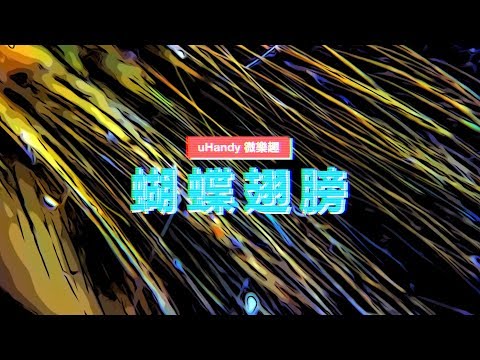 蝴蝶翅膀