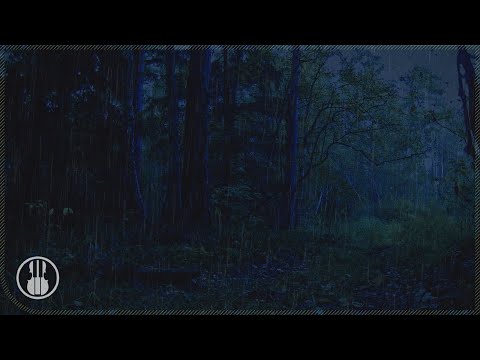 ⛈ Starke Regengeräusche und Donnergrollen im düsteren Wald in der Nacht - 10 Stunden