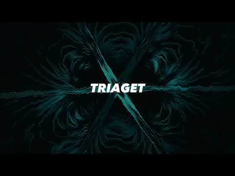 afrojack - the birds  (triaget edit)