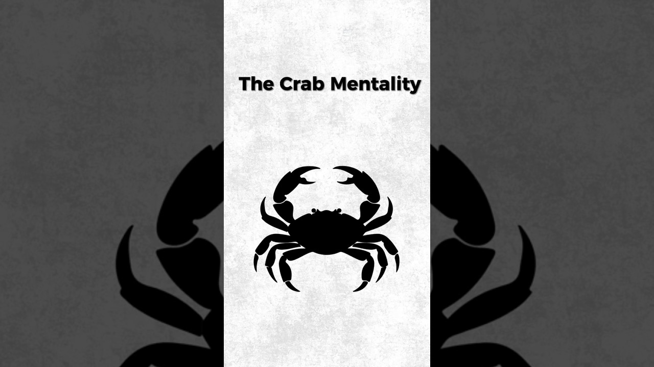 The Crab Mentality #psychology #selfimprovement #mindset