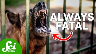 Top 5 Deadliest Diseases