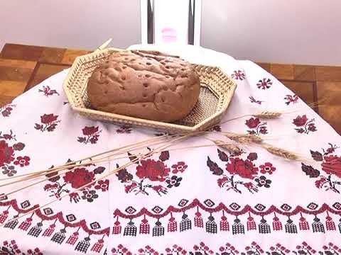 Выпуск программы «День» от 7 ноября 2017г.