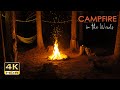 4K HDR Campfire In The Woods Crackling Fire Cricket Sounds Relaxing Nighttime Camping Ambiance
