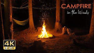 4K HDR Campfire in the Woods - Crackling Fire &amp; Cricket Sounds - Relaxing Nighttime Camping Ambiance