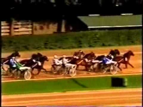 98. Deutsches Traber Derby 1993 -Speedy Harry