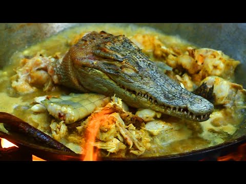 finding & Cooking Crocodile food recipe - cook Crocodile meat Soup