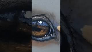 Realistic Horse Eye Drawing Explained in 20 Minutes