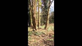 PORTAS PILOT - AMESBURY.wmv