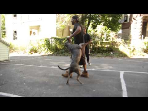 ATM BIGZ- MADE IT HAPPEN (OFFICIAL VIDEO) SHOT BY TRUMAN RHINEHART