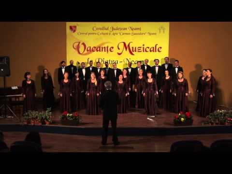 Vacante Muzicale 2015 - Corul de camera "PRELUDIU"