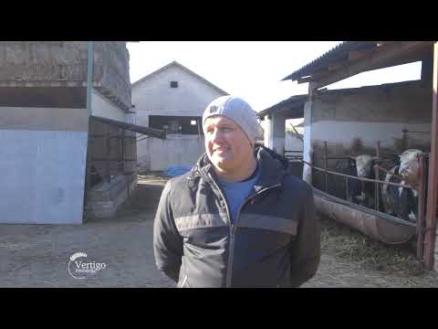 TOV JUNADI, gde TELAD jedu NAJSKUPLJU HRANU u istoriji TOVA - U nasem ataru 930