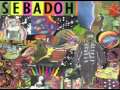 Sebadoh - Pink Moon (Nick Drake cover)