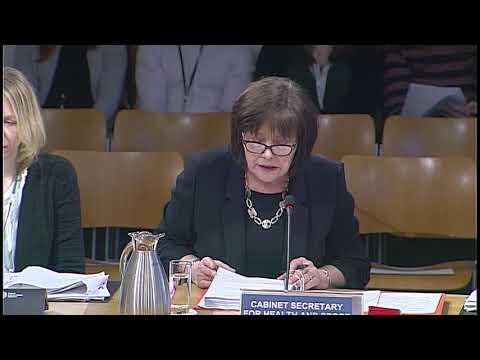 Health and Sport Committee - 29 January 2019