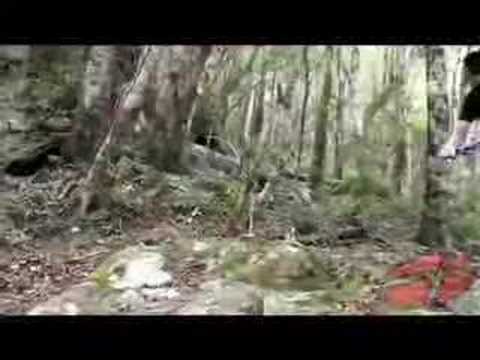 Direct Mount LG-1: Justin Leov