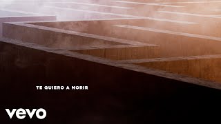 Musik-Video-Miniaturansicht zu Te Quiero A Morir Songtext von Dvicio