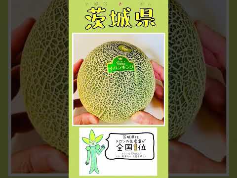 薬学科 茨城県