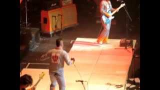 Realizo todo bien - 18 años chancho en piedra