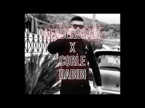 LEADERBRAIN X CORLE HABIBI