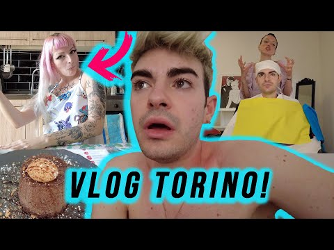 SONO STATO MALE!! VACANZA ROVINATA A TORINO! || NIKOOOLASH