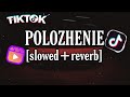 DIOR Положение Polozhenie Slowed Reverb Pitch