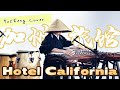 The Eagles Hotel California Reimagined On The Traditional Chinese Guzheng Moyun