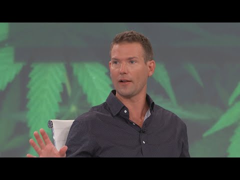 Is Cannabis an Exit Drug?