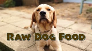 Raw Dog Food UK