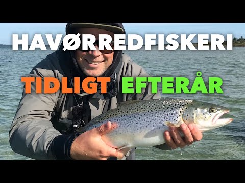 Havørredfiskeri Tidligt Efterår