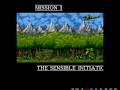 Amiga Cannon Fodder Win UAE