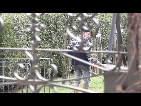 Revocati domiciliari genitori Renzi, il ritorno nella villetta di Rignano di Tiziano e della moglie