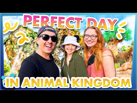 The PERFECT DAY in Disney's Animal Kingdom