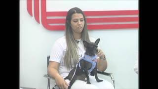 Miniatura do vídeo