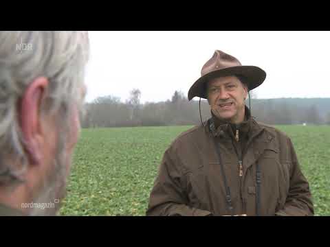 Kontroverse Nandu-Jagd