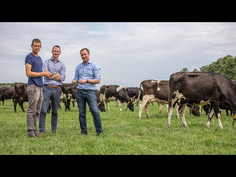 Costello Brothers - Irische Weidemilch aus Brandenburg