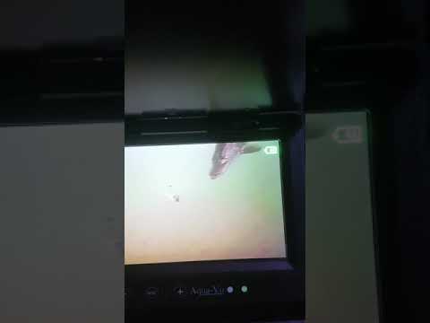 Lake Diefenbaker pike on camera