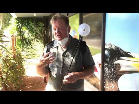 Electrostatic Sprayer: Cup Sprayer