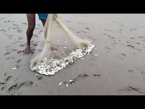 Most Satisfying Sea Fishing Video - Catching Fish Big on The Sea