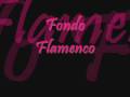 Fondo Flamenco-El Metro De Madrid 
