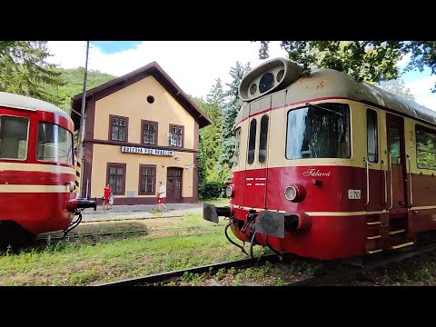 Vlakom z Bratislavy do Brezovej pod Bradlom. Lokálna železničná trať na Záhorí ožila