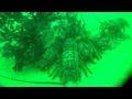 2011-2012 Lobster Season 