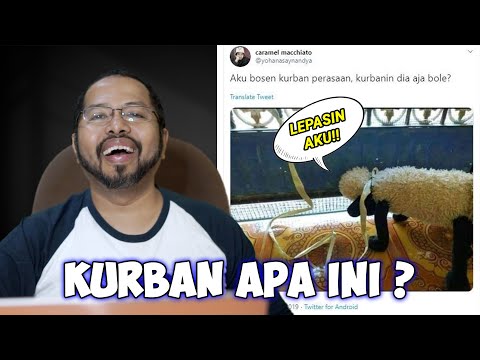 kurban-apa-kalo-kayak-gini-reaction-meme-idul-adha